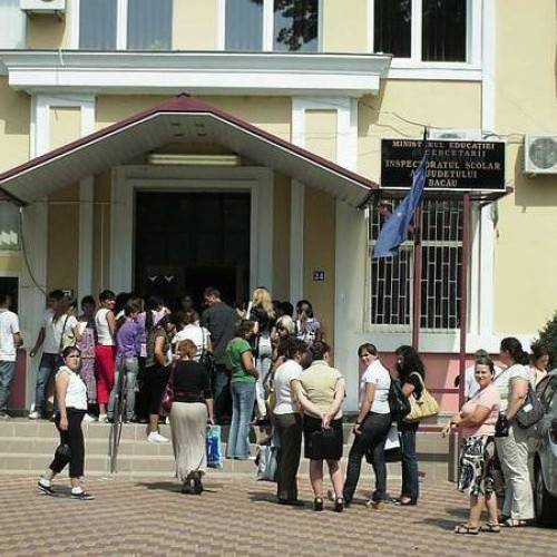 Procentul de promovare în Bacau pentru examenul de definitivat 2024