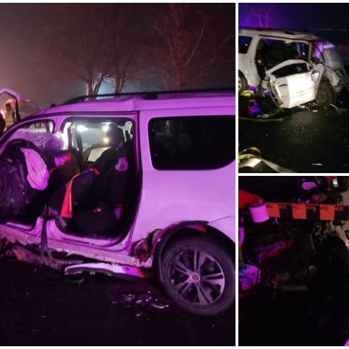 Tragicul accident de pe E85: familie distrusă în urma unei coliziuni