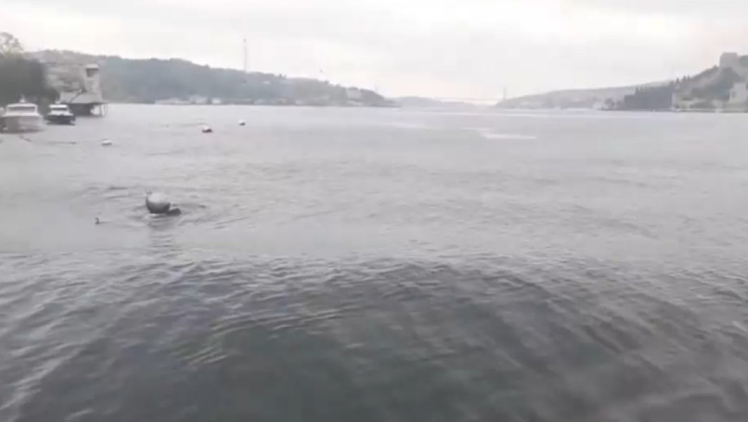 Cutremur puternic în Istanbul: magnitudine 6,2