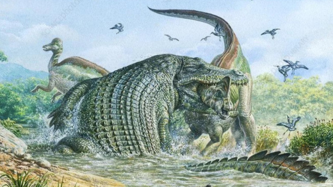 O reptilă gigantică, Deinosuchus, vâna dinozauri acum milioane de ani