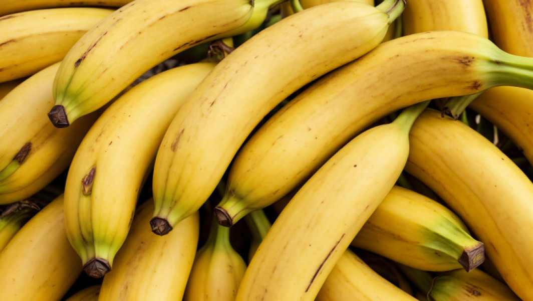 Amenințarea climatică asupra culturilor de banane