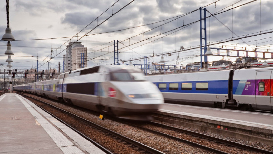 SNCF își schimbă protocolul după incidentul tragic cu pisica Neko