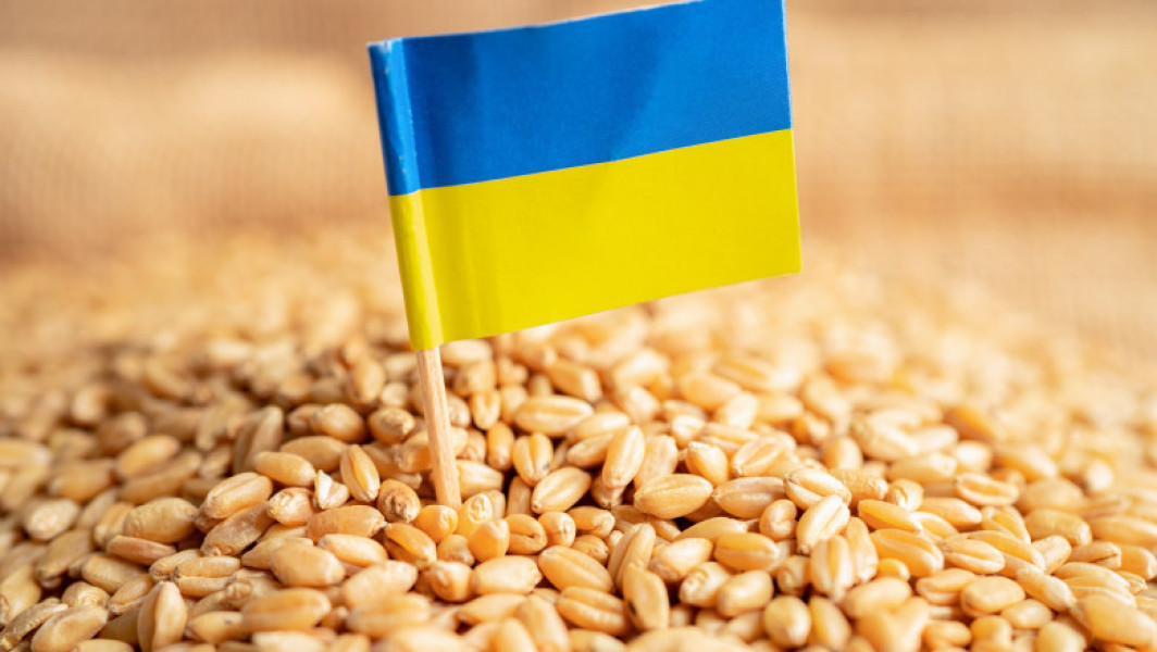 Ministrul francez al Agriculturii pledează pentru restricții suplimentare asupra importurilor de grâu din Ucraina