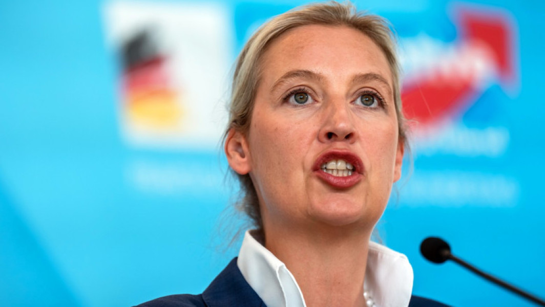 Ministrul german de Interne susține că interzicerea AfD nu este justificată