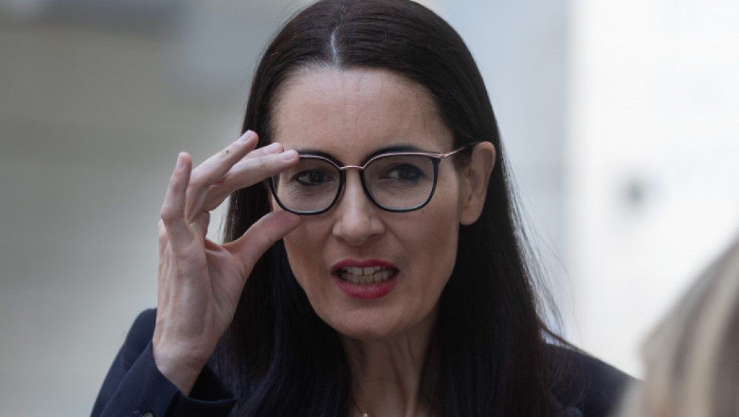 Scandal la Primăria Sectorului 1: Consilier local PNL înjurându-l pe Clotilde Armand - VIDEO