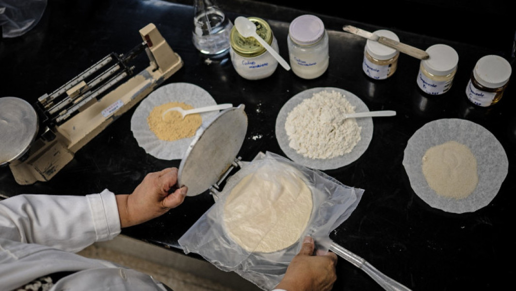 Cercetătoarea Raquel Gomez dezvoltă tortilla care combate malnutriția în Mexic
