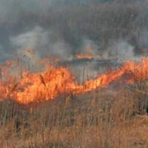 Incendiu de vegetație provocat de pregătirea terenului pentru lucrările agricole de primăvară