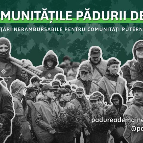 Acorduri nerambursabile de până la 30.000 de euro pentru Programul 'Comunitățile Pădurii de Mâine