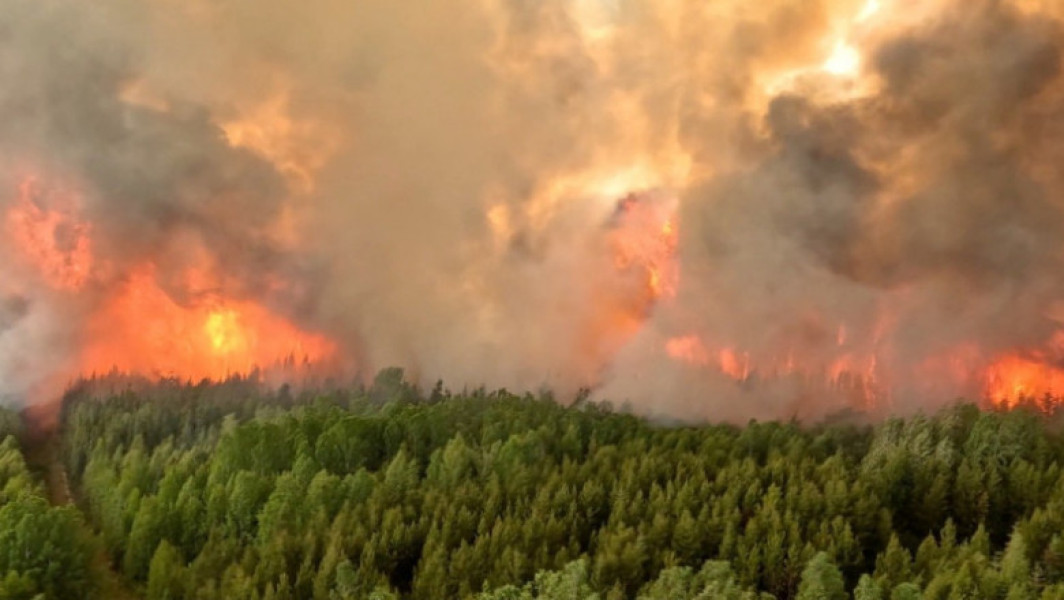 Incendiile de vegetație din Canada continuă să devasteze țara