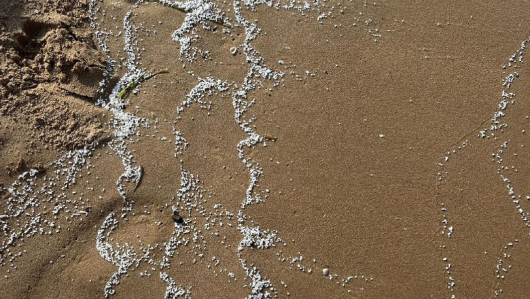 Particule albe misterioase aduse de valuri pe coasta Valenciei au dus la închiderea mai multor plaje