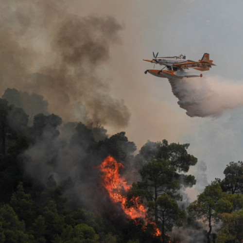 Video Pompierii turci luptă în continuare cu incendiile de vegetație în Izmir și Manisa. Peste 50.000 de localnici au fost evacuați
