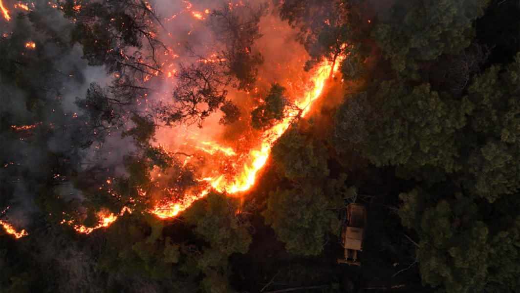 Incendiile forestiere din Siria continuă să provoace probleme în regiunea Latakia