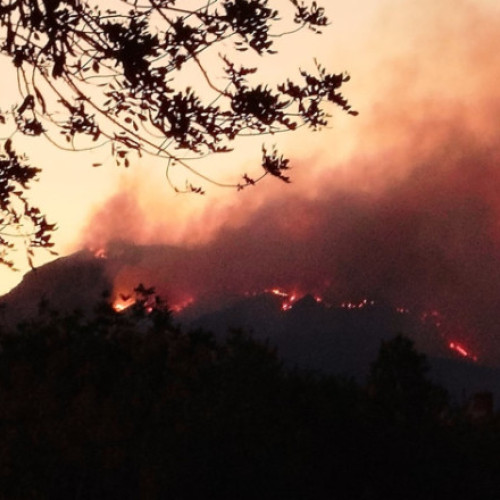 Incendiu de vegetație în Tarragona, Spania: peste 18.000 de oameni evacuați