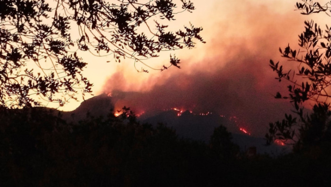 Incendiu de vegetație în Tarragona, Spania: peste 18.000 de oameni evacuați