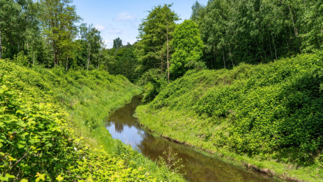 Emscher, din canal de scurgere industrială, a devenit un loc de natură înfloritoare în Germania
