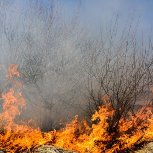 Incendiu devastator în Parcul Național Marele Canion, Arizona