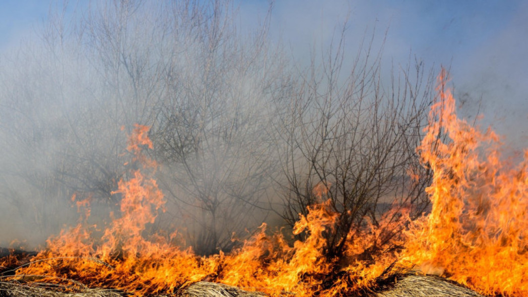Incendiu devastator în Parcul Național Marele Canion, Arizona