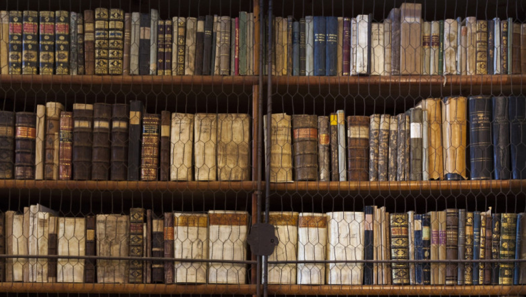 Biblioteca unei mănăstiri din Ungaria, aflată în pericol din cauza infestării cu insecte, a fost supusă unui proces de salvare a celor aproximativ 100.000 de volume, relatează digi24.ro. Mănăstirea Benedictină din Pannonhalma, extrem de veche și parte a Patrimoniului UNESCO, a început să-și scoată cărțile de pe rafturi pentru a le dezinfecta după ce au fost descoperite semne clare ale unei infestări masive cu insecte mici.