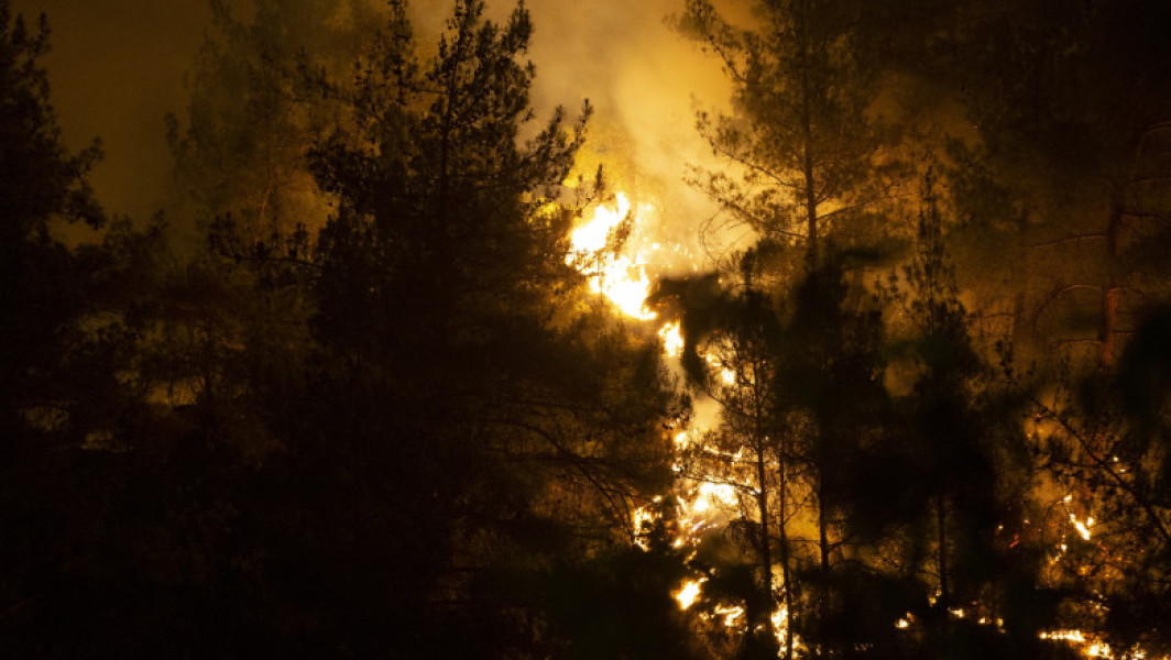 Incendii de vegetație și temperaturi record în Turcia din cauza valului de caniculă