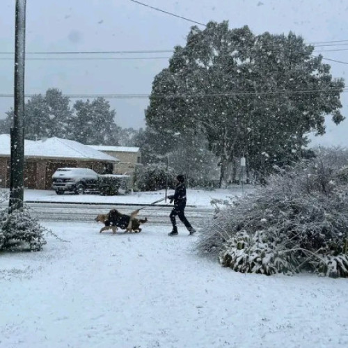 Cele mai mari ninsori din ultimele decenii în estul Australiei: inundații și pene de curent