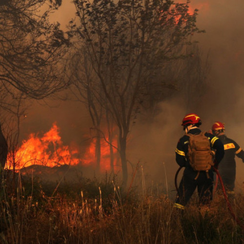 Incendii de vegetație în Grecia: pompierii români acționează în regiunea Attica