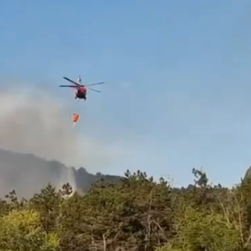 Video Incendiu de vegetație în județul Tulcea. Flăcări pe 6 hectare în zona Chilia Veche. Elicopter Black Hawk, trimis la intervenţie