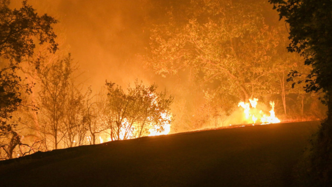 Cel mai mare incendiu de pădure din Franța în 2025, peste 1.800 de pompieri în luptă cu focul