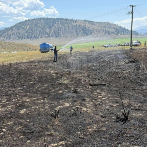 Incendiu în Columbia Britanică, provocat de o pasăre de pradă