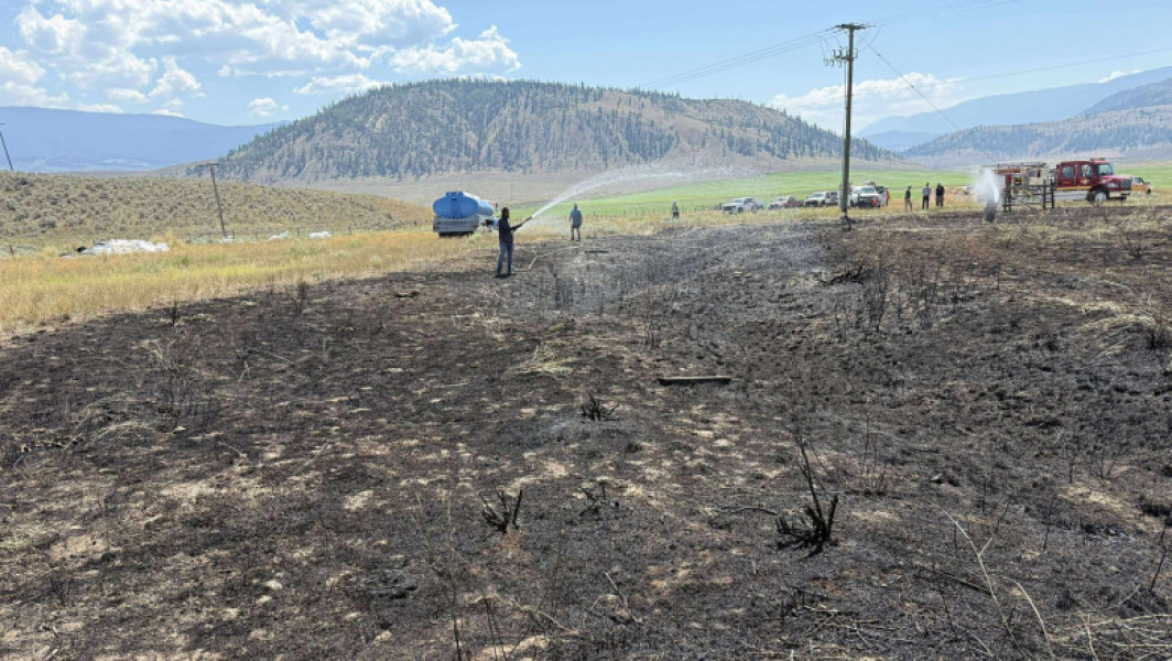 Incendiu în Columbia Britanică, provocat de o pasăre de pradă