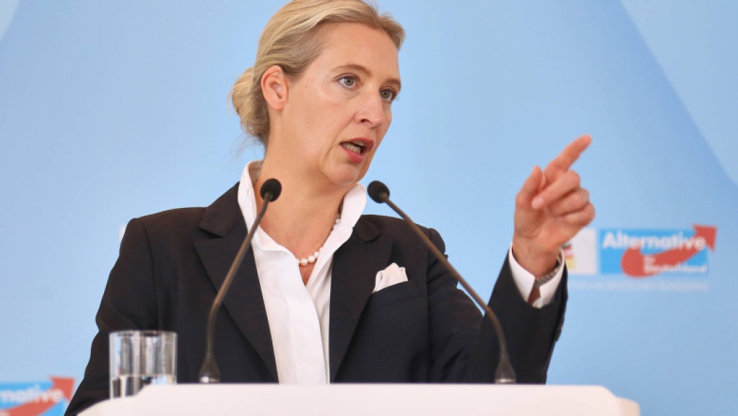 AfD devine cel mai popular partid din Germania, devansând blocul conservator al lui Friedrich Merz