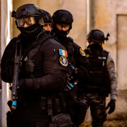 Șase reținuți în dosarul legat de crima de la Padina. Bărbații au vrut să înșele anchetatorii pentru reducerea pedepsei unui inculpat