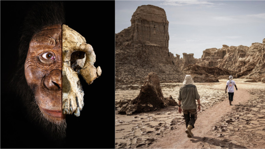 Descoperire importantă în evoluția hominizilor în regiunea Afar din Etiopia