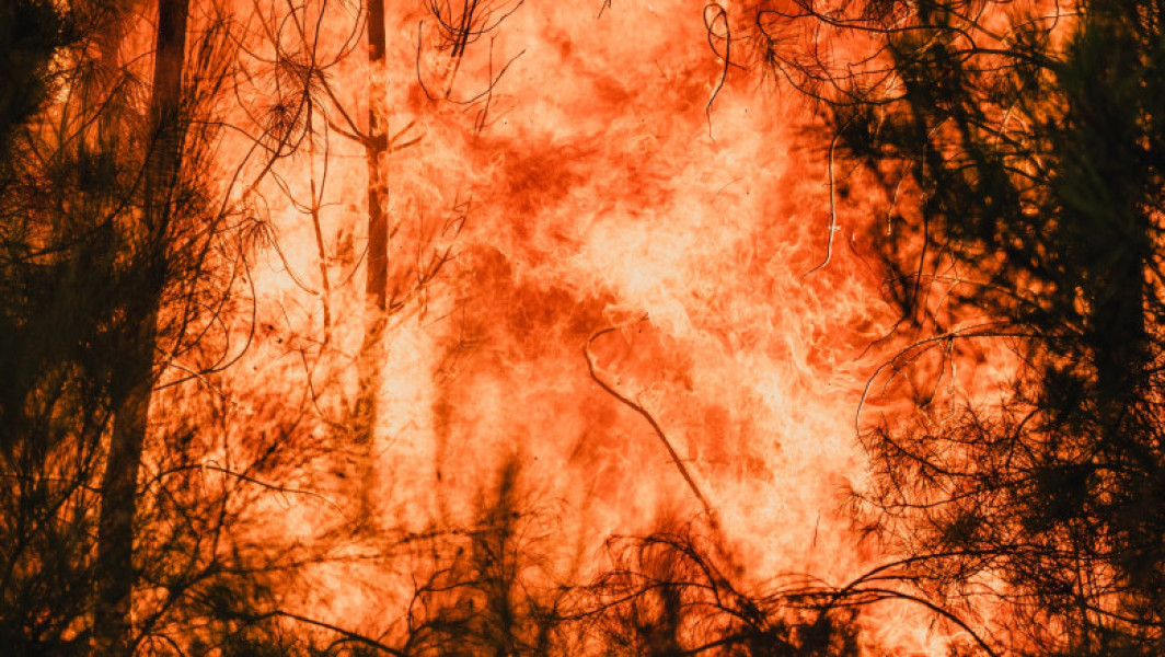 Patru persoane au murit în Spania în ultima săptămână, în timp ce sudul Europei se confruntă cu cea mai gravă serie de incendii forestiere din istorie. Guvernul din Madrid a mobilizat aproape 3.000 de soldați pentru a ajuta pompierii în lupta împotriva focului care a devastat zone întinse ale țării.