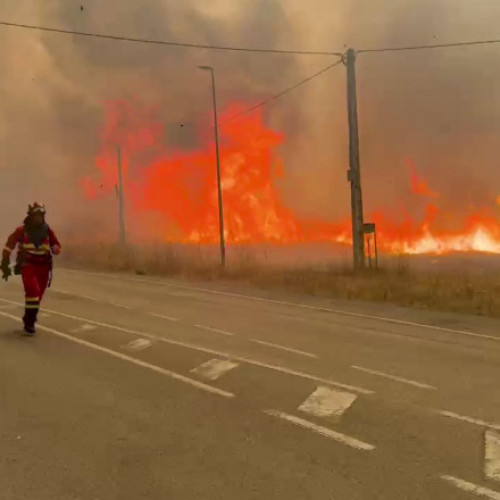 Incendiile de vegetație au distrus peste un milion de hectare în Uniunea Europeană în acest an