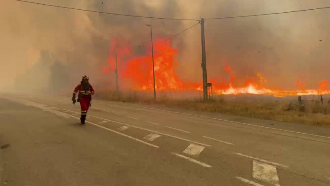 Incendiile de vegetație au distrus peste un milion de hectare în Uniunea Europeană în acest an