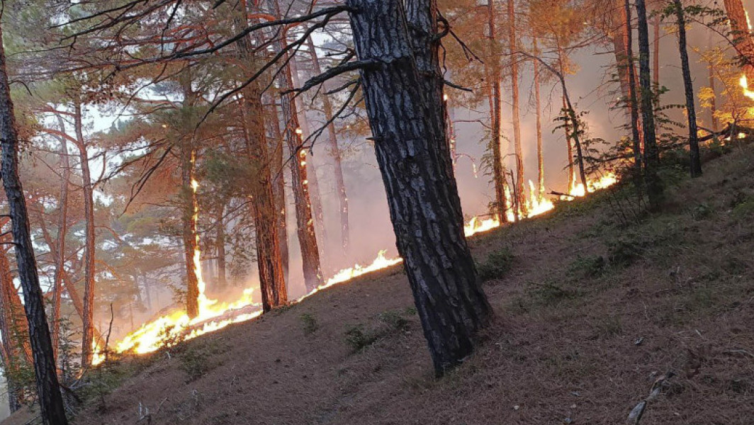 Incendiu de pădure provocat de prăbușirea unei drone ucrainene în apropiere de Ghelendjik