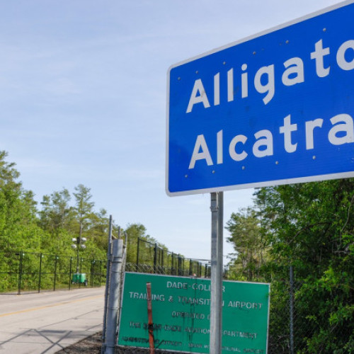 Curtea de Apel suspendă închiderea centrului din Everglades; Florida poate relua transferurile