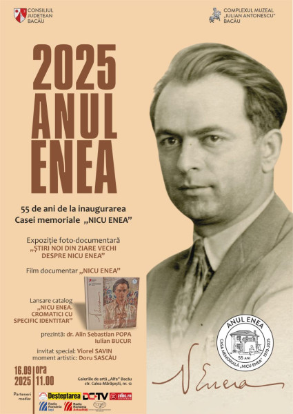 Nicu Enea, cromatici cu specific identitar