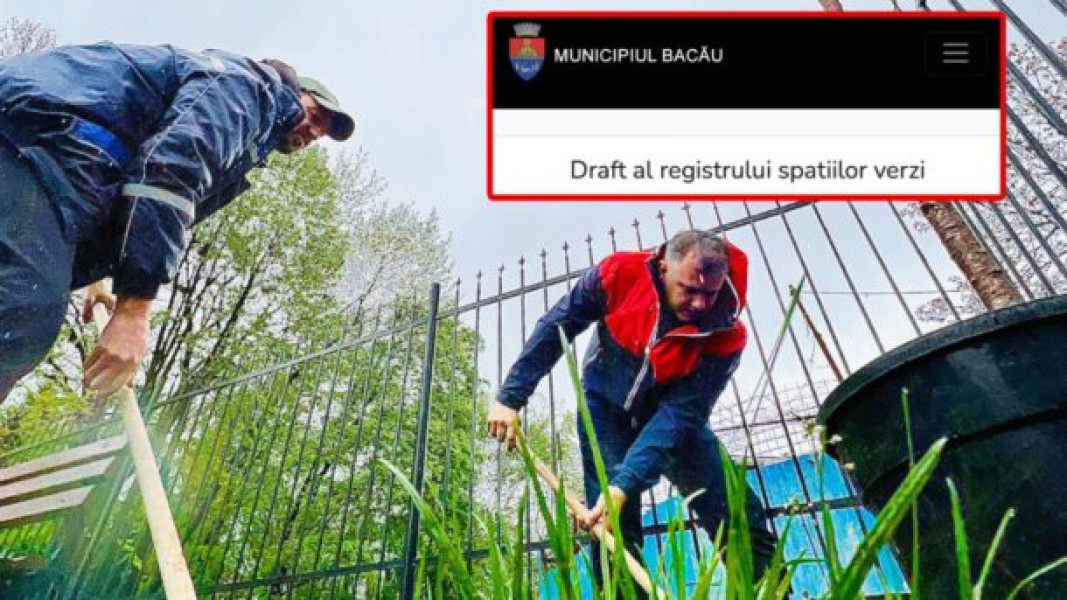 Primăria Bacău menține registrul spațiilor verzi ca document „draft” deși este oficial