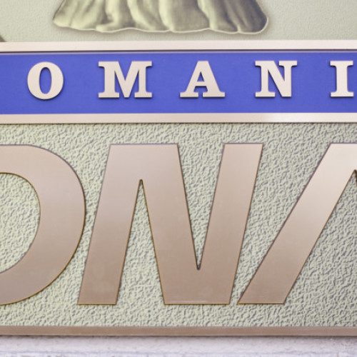 Nouă percheziții DNA Timișoara pentru evaziune fiscală cu prejudiciu de peste 30 milioane lei