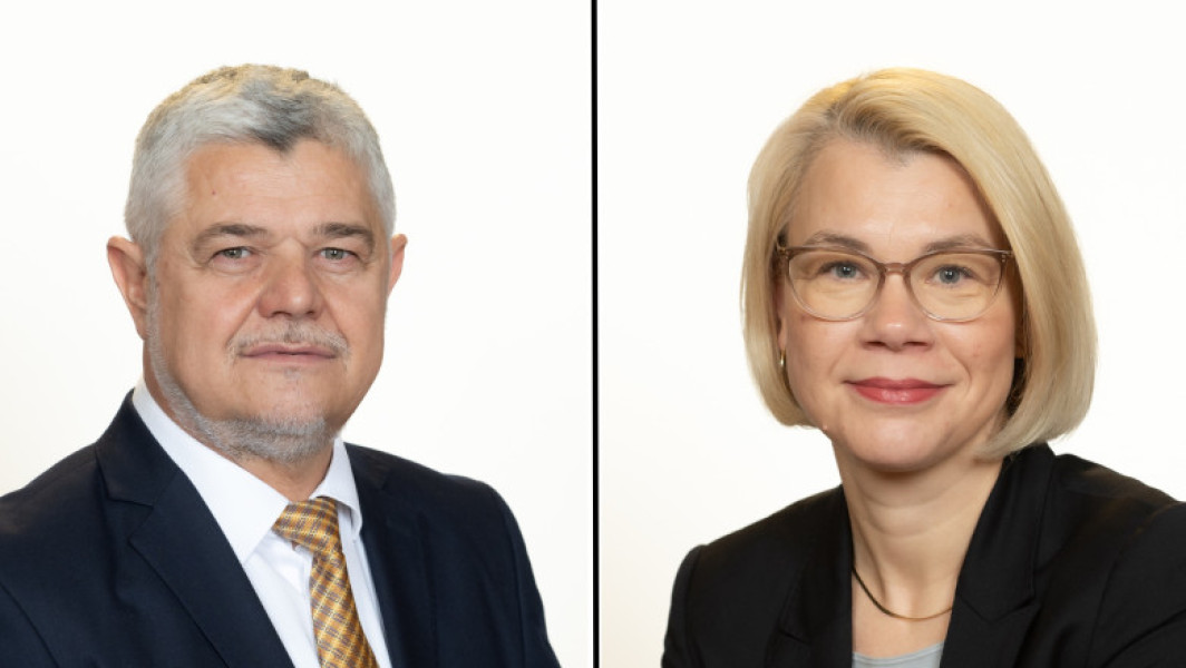 Senatorul Ninel Peia atacă o colegă USR şi proiectul AUR privind pornografia online