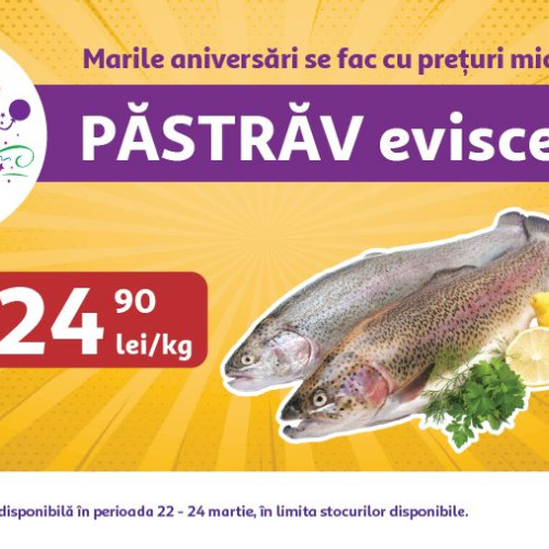 Oferte Wow, continuă Festivalul Ofertelor în magazinele Auchan din țară și online!