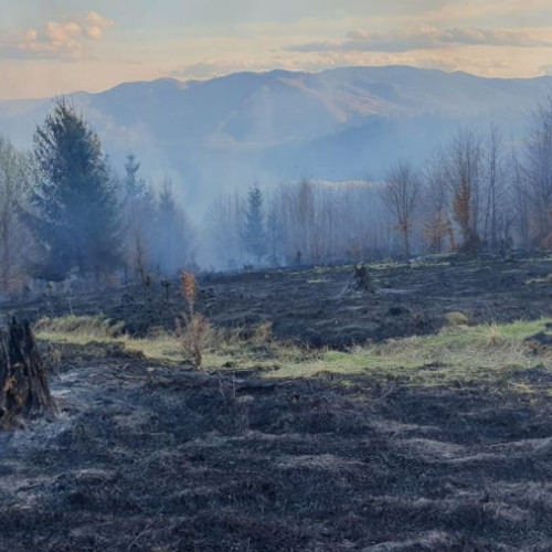 Un nou incendiu devastator în Pădurea Asău, deja distrusă de flăcări. Suprafață de 10 ha cuprinsă de foc, intervenție urgentă a pompierilor