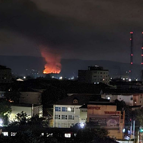 Incendiu de vegetație la Tămăș, lângă Bacău