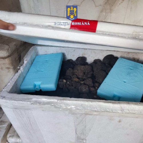 Polițiștii din Bacău au confiscat 74 kg de trufe transportate ilegal